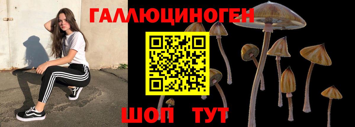 Галлюциногенные грибы прущие грибы  Вход с VPN  Галлюциногенные грибы GOLDEN TEACHER  Орехово-Зуево 